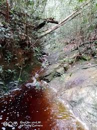 Curug alias air terjun merupakan sebuah keindahan persembahan dari alam yang bisa kita jadikan tempat main atau bahkan mencari inspirasi. Wikiloc 786 Jejak Punca Sungai Batu Putih Gunung Jerai Trail