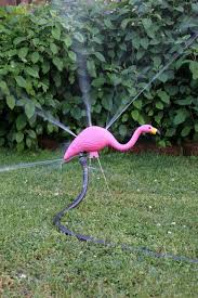 7 Hilarious Ways To Hack Pink Plastic Flamingos Flamingo Garden Plastic Flamingo Flamingo