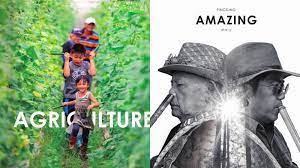 挑戰最美公部門刊物 屏東地方誌改版 amazing pingtung 全新編排重塑在地印象 movie posters poster movies
