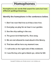 Identify Homophones Homophones Sentences Homophones Worksheets