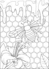 Top 25 butterfly coloring pages: Bee And Honey Butterflies Insects Adult Coloring Pages