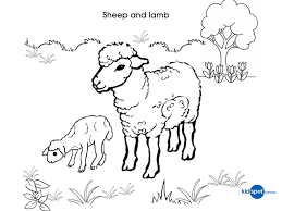 Baa baa black sheep coloring pages. Lamb 225 Animals Printable Coloring Pages