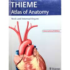 Head and neuroanatomy on facebook. Thieme Atlas Of Anatomy Neck And Internal Organs Author Michael Schuenke Ed Year 1 2007 Isbn 9783131444011 Shopee Thailand