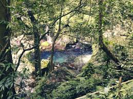 We did not find results for: Bukal Falls Budget Travel Guide Itinerary Updated 2020