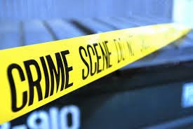 20,634 criminal justice degree jobs available on indeed.com. Top 10 Bachelor Level Criminal Justice Jobs Criminal Justice Degree Hub
