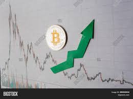 Shiba inu () cryptocurrency market info recommendations: Appreciation Virtual Image Photo Free Trial Bigstock