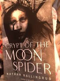 Spiders Web in the mist sometimes known as "Irish Penance" or "Irish  Curtains"...