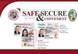 Florida state identification card number New More Secure Florida Drivers License And Id Card Now Available In Osceola County