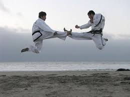 Taekwondo Taekwondo Martial Arts Animals