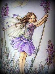 Lavender Fairy By Cicely Mary Barker Lavender S Blue Diddle Diddle So Goes The Song All Round Her Bush Diddle D Flower Fairies Fairy Art Beautiful Fairies