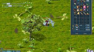 You can play as either the dragon warrior or ninja to experience the fight of century! Conquer Online Bot Autoloot Test Youtube