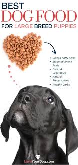 Best Puppy Food For Large Breed Dogs Ratings Reviews In 2020 Best Puppy Food Large Breed Puppy Food Best Puppies