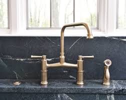 The first thing you notice about the brizo faucets is the design. Everything And The Kitchen Sink Can Match Your Personality Immerse St Louis
