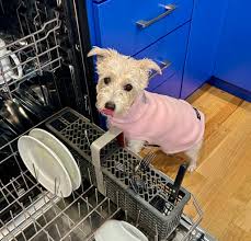 I love baking but hate cooking dinner. However, since reading The Forever  Dog Life book I love fixing Daisy's meals! I never knew how many wonderful  foods could be incorporated into a