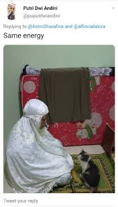 Berikut adalah video kucing dan anak kucing mengeong untuk membingungkan hewan peliharaan anda Comelnya Gelagat Kucing Ini Jadi Makmum Solat Siap Ikut Sujud Lagi