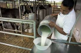 te gusto? quiero tu leche