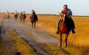 The argentinian peaks and rolling grasslands of patagonia appear empty, yet the solitude of the steppe is broken by fertile. Horse Riding On An Estancia In Argentina Helpstay South America