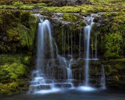 Söderåsens nationalpark är en så storslagen naturupplevelse att den uppskattas av alla. Blandare Atta Fotosidan