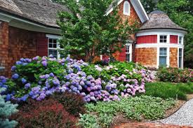 Hit list of hydrangea facts. 15 Low Maintenance Shrubs This Old House