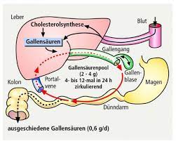 Problemfall Galle