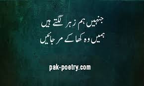 Us Ne Pocha Mere Bghair G Lo Ge Funny Poetry 5 top collection ...