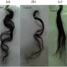 Not only will this condition the hair, it will also keep frizz under control. Application Of Keratin K31 In Straightening Curly Hair A Untreated Download Scientific Diagram