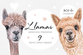 This video was a bit of a hot mess but i hope you got the point :) etsy svg rosie. Llama Lama Alpaca Watercolor Set 9 Illustrations 555839 Illustrations Design Bundles