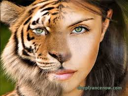 8 Shapeshifting & Skinwalker ideas