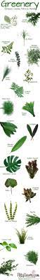 A list of leafy green vegetables names with pictures. 95 Names Of Flowers Ideas Flowers Flower Names Flower Arrangements