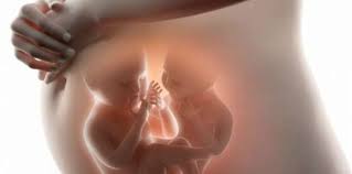 Tanda kehamilan yang dirasakan wanita mungkin mirip di usia ini seperti kram perut. 11 Ciri Ciri Hamil Anak Kembar Yang Harus Bunda Tahu Theasianparent Indonesia
