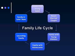 the family life cycle