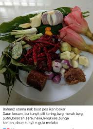 Wanita Ini Kongsi Resepi Pes Ikan Bakar Rasapun Ala Makan Di Kedai Superb Keluarga