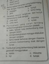 Maybe you would like to learn more about one of these? Jahe Dan Kunyit Berkembang Biak Dengan Cara Cara Golden