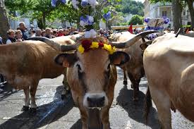 Its parks, monuments, and more! Saint Geniez D Olt Office De Tourisme Des Causses A L Aubrac Bureau St Geniez Campagnac Mairie De Saint Geniez D Olt Station Verte Vacances Weekend Tourisme
