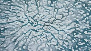 Mein leben auf unserem planeten mit seinen 94 jahren will uns naturfilmer david attenborough mit der doku „mein leben auf unserem planeten noch einmal aufrütteln. Bild Von David Attenborough Mein Leben Auf Unserem Planeten Bild 8 Auf 11 Filmstarts De
