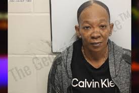 Latoya Warner — Chatham County Jail Bookings