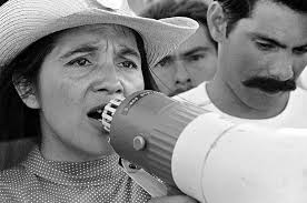 The Vineyard Gazette