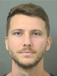 MARTIN, DANIEL COLLINS Charges 893.13 1A1 (FS) DRUGS-SELL