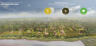 Image result for Haplocoelum foliolosum