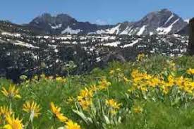 Reckless kelly capped the summer season for music on main last year drawing a healthy crowd to the victor city park. Teton Valley Driggs Idaho Vacations Travel Activities Alltrips