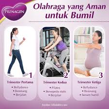 Prenagen World Tidak Hanya Untuk Orang Pada Umumnya Facebook