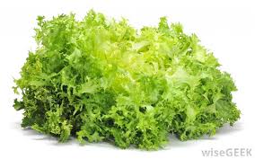Escarole Is A Curly Versatile And Tasty Salad Green Despite Its Slightly Bitter Taste Escarole Is An Excellent Complement To Endive Herbs Survival Seeds