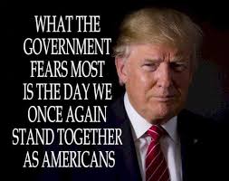 Friendswood Patriots