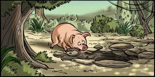 Ran Jing's Experience as a Mentee