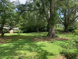 Profile for Patti Ayers & Associates, Inc.