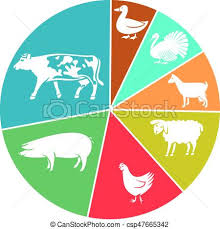 Domestic Farm Animals Business Pie Chart Cow Sheep Chicken Pig Goat Turkey Goose