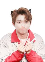 Pin Di Stray Kids Members