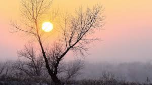 Kannst du mir sagen, wann deine schwester heiratet? Sonnenaufgang Sonnenuntergang Im Januar Das Schlimmste Ist Geschafft Sternenhimmel Br Wissen