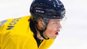 Avslöjar: Djurgården värvar Axel Andersson från AHL