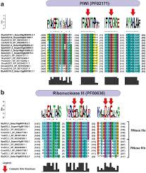 They belong to the vast genus opuntia. New Insights Into Tomato Micrornas Scientific Reports
